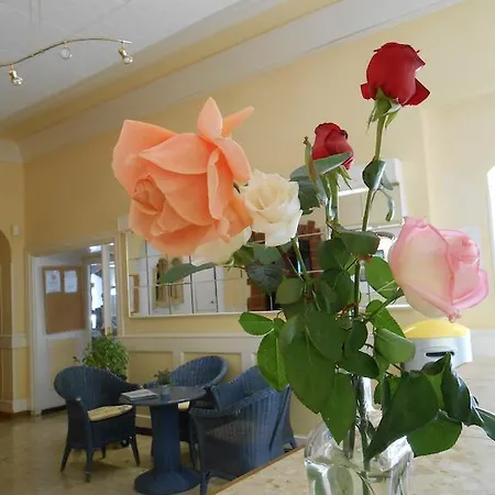 Marbella Roses